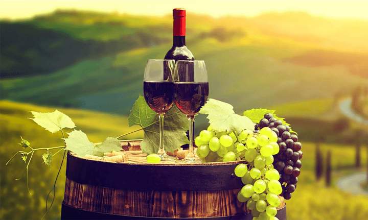 Achat vins biologiques Claret
