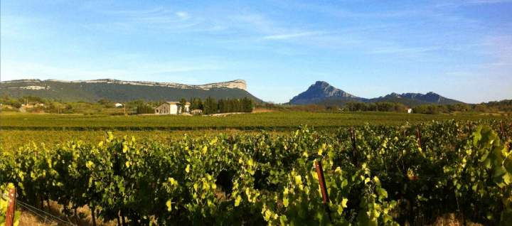 Domaine viticole Claret