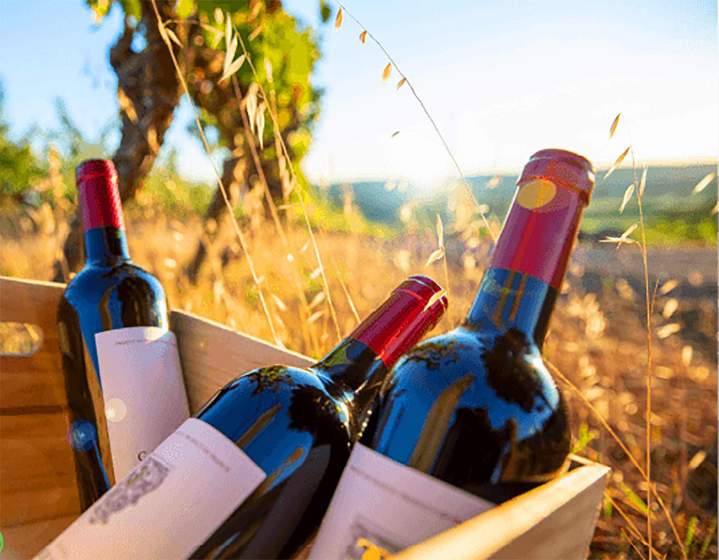 Une vaste sélection de vins issus de l'agriculture biologique