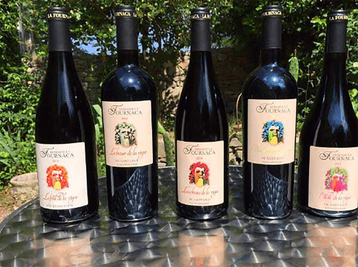 Dégustation de vins BIO Claret